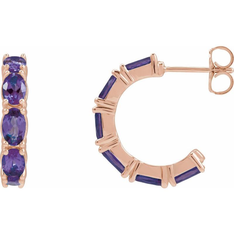 Accented Hoop Earrings No. 2