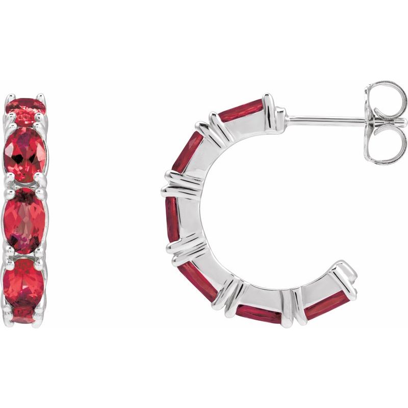 Accented Hoop Earrings No. 2