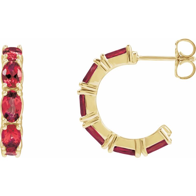 Accented Hoop Earrings No. 2