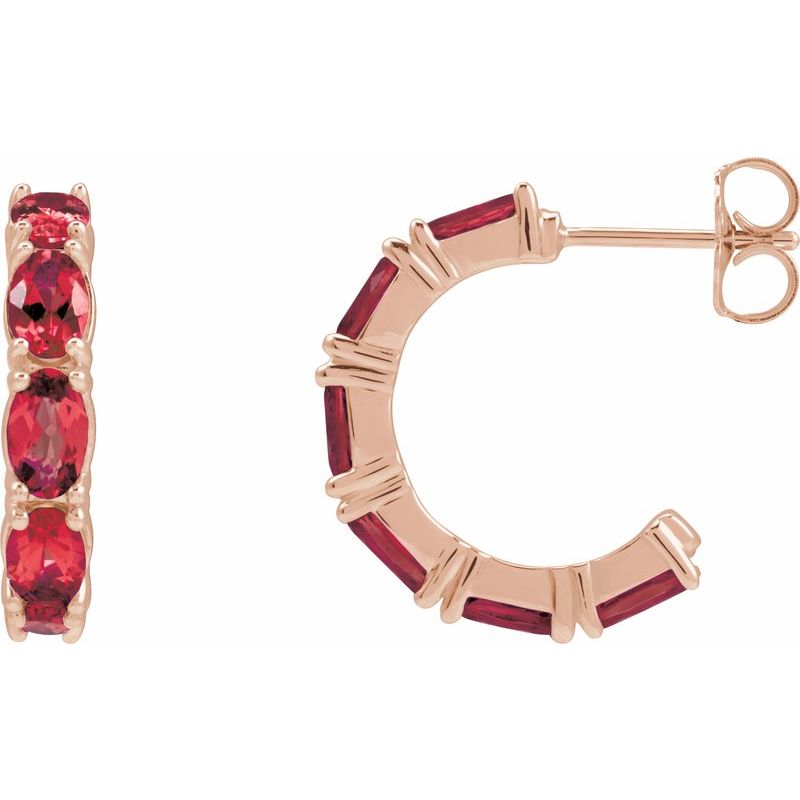 Accented Hoop Earrings No. 2