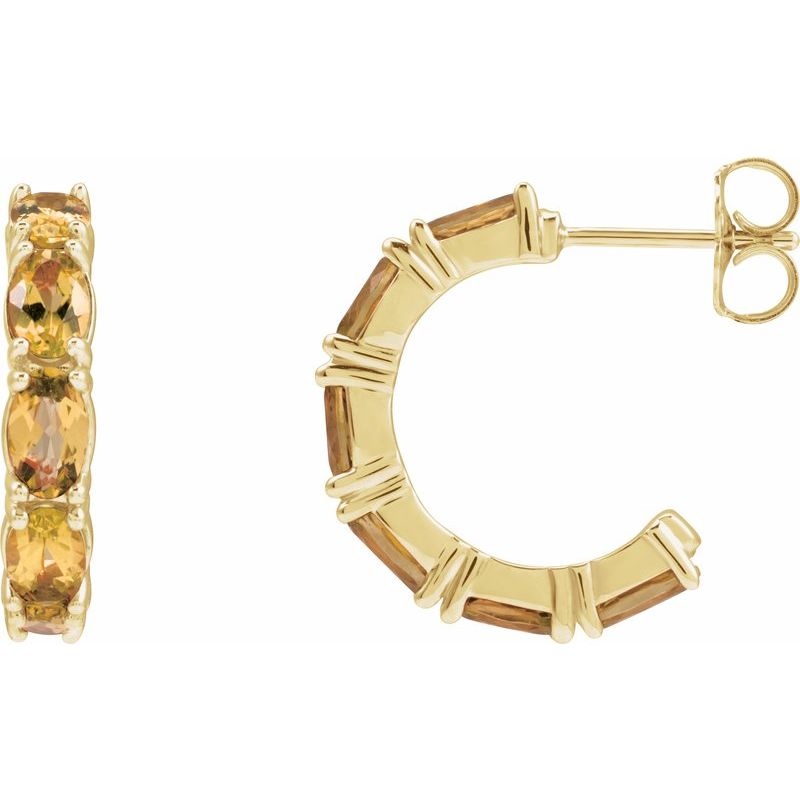 Accented Hoop Earrings No. 2