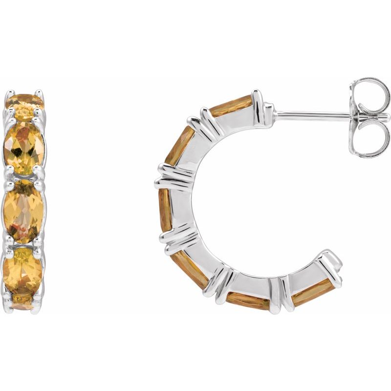 Accented Hoop Earrings No. 2