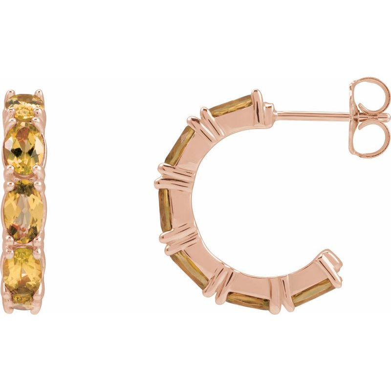 Accented Hoop Earrings No. 2