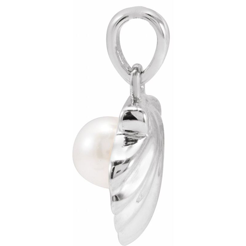 Pearl Shell Necklace or Charm/Pendant