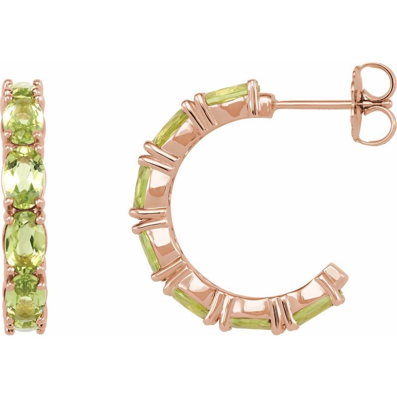 Accented Hoop Earrings No. 2