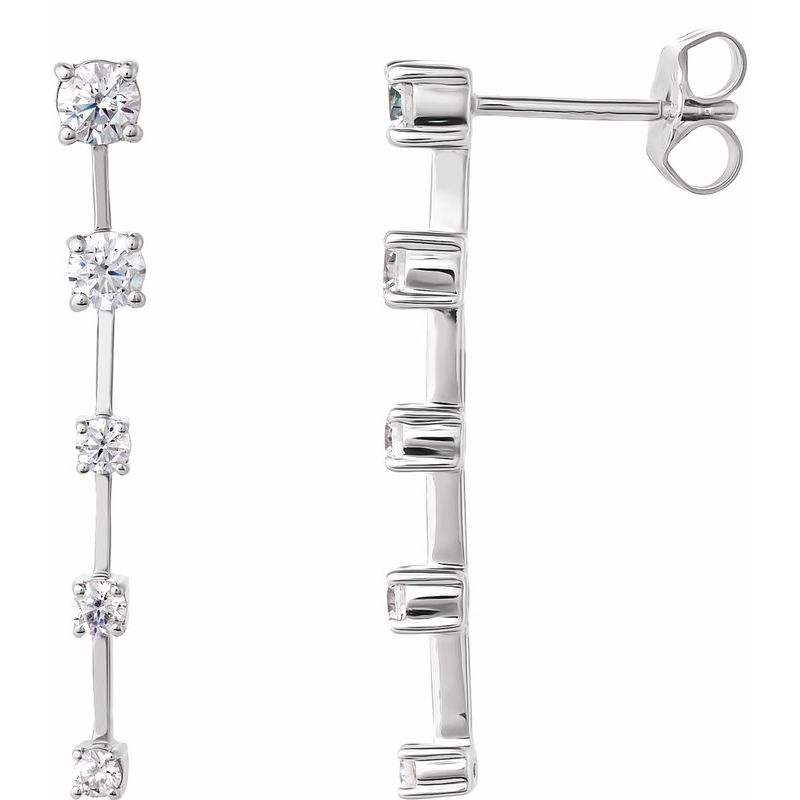 Accented Drop Earrings