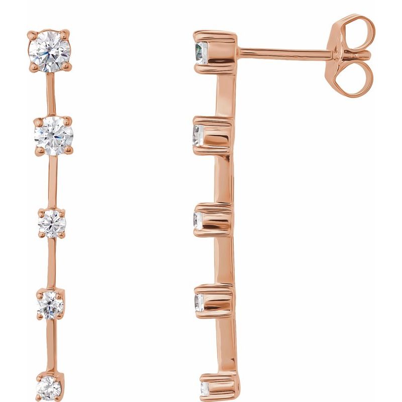 Accented Drop Earrings