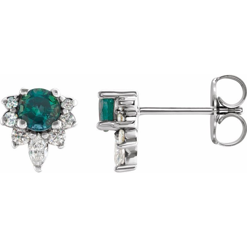 Accented Earrings