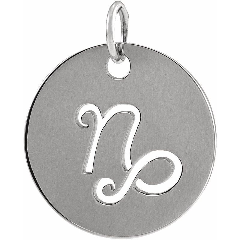 Zodiac Disc Necklace or Charm/Pendant